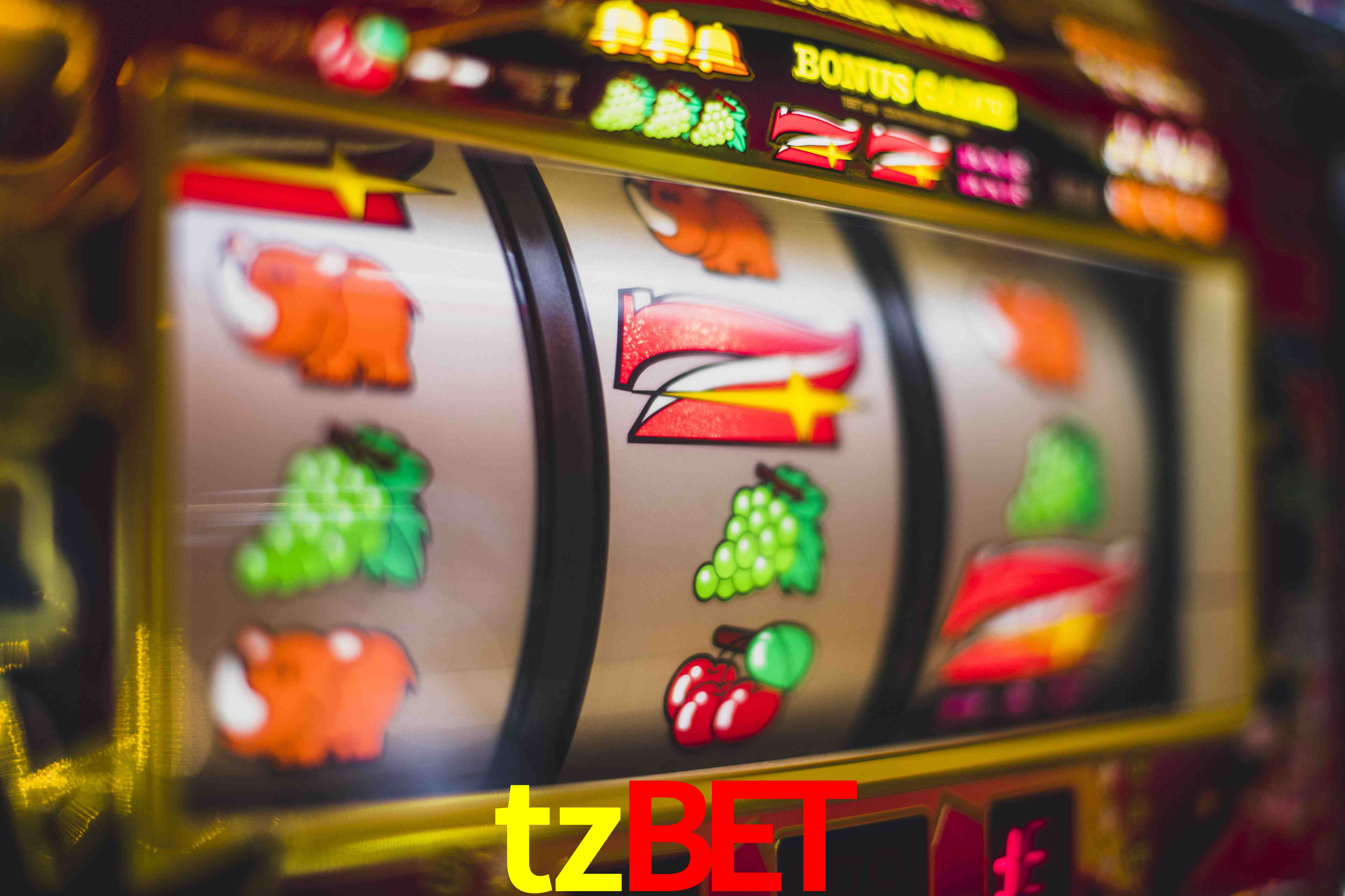 Crash Games Statistics tzbet